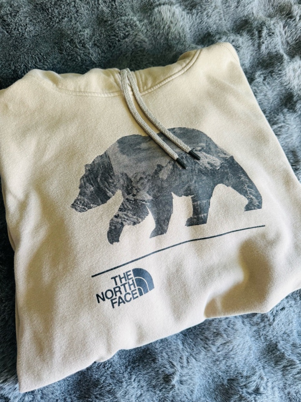 The North Face Mens XL Hoodie Beige Bear Graphic Pullover Fleece Sweatshirt